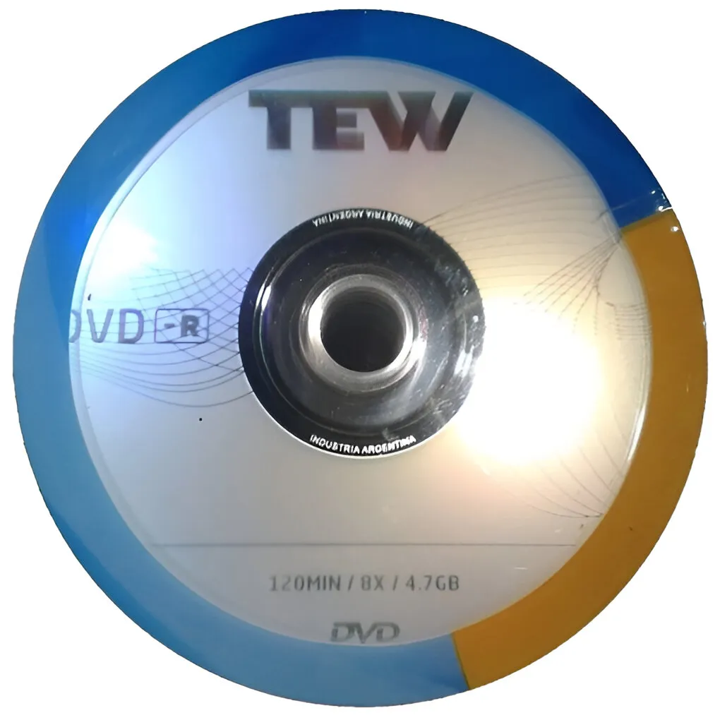 DVD Tew logo -R en Bulk x 100 unid.