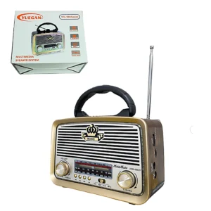 Radio Portátil Multibanda Recargable Usb Memoria Mp3 Bluetooth YUEGAN YG-1085 MINI